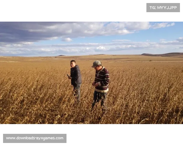 MQBA篮球联赛在莫力达瓦举行，体育激情四季不断